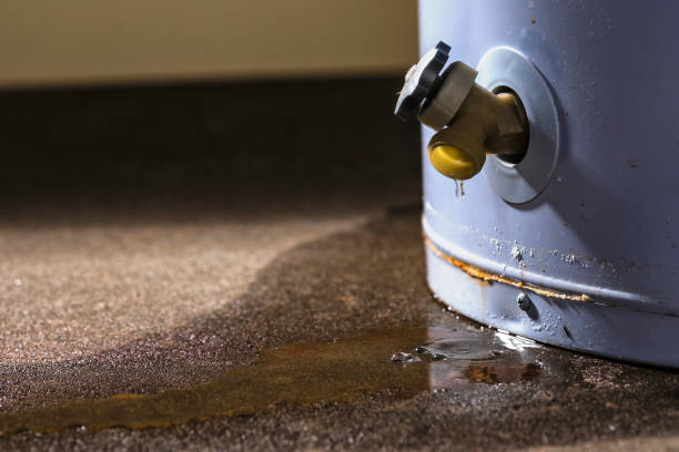 Best Commercial water damage restoration  in Walnut Grove, GA
