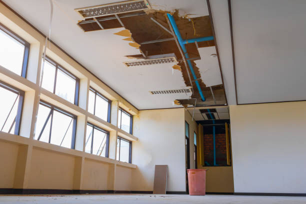 Best 24-hour water damage restoration  in Walnut Grove, GA