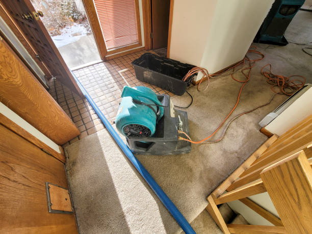 Best Water damage restoration process  in Walnut Grove, GA