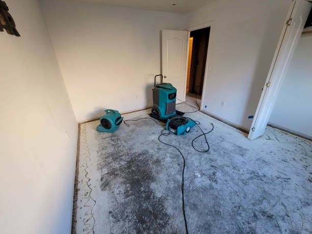 Best Carpet water damage restoration  in Walnut Grove, GA