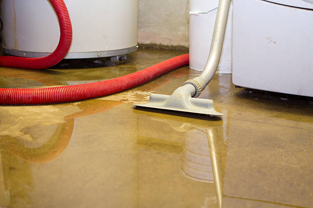 Best Ceiling water damage repair  in Walnut Grove, GA