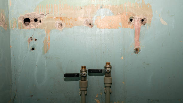 Best Carpet water damage restoration  in Walnut Grove, GA
