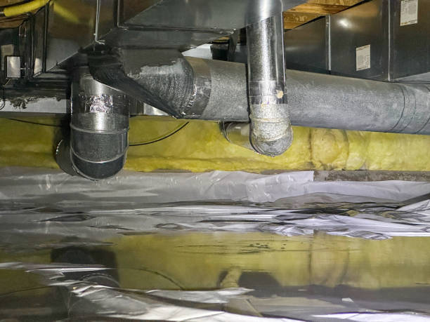 Best Water damage repair service  in Walnut Grove, GA