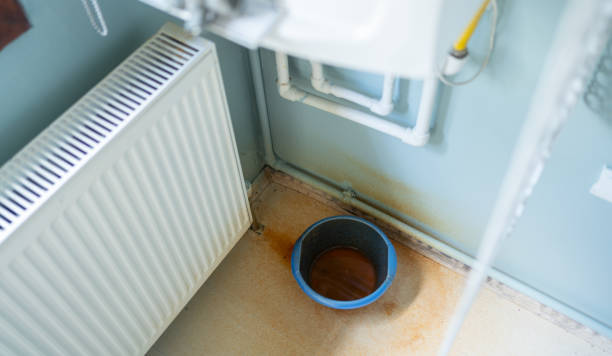 Best Basement water damage restoration  in Walnut Grove, GA