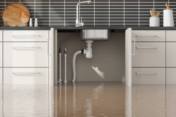 Best Sewage cleanup and water damage restoration  in Walnut Grove, GA