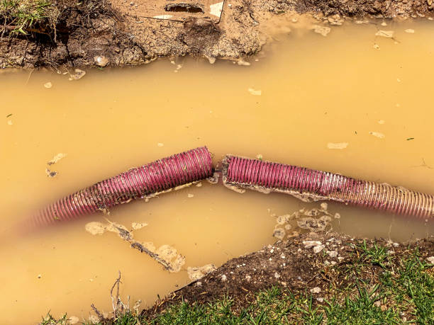 Best 24/7 water damage repair  in Walnut Grove, GA