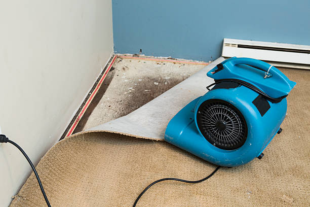 Best Professional water damage repair  in Walnut Grove, GA