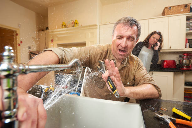 Best Professional water damage repair  in Walnut Grove, GA